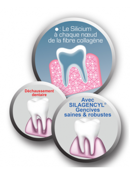 SILAGENCYL Bain de Bouche - Labo Santé Silice