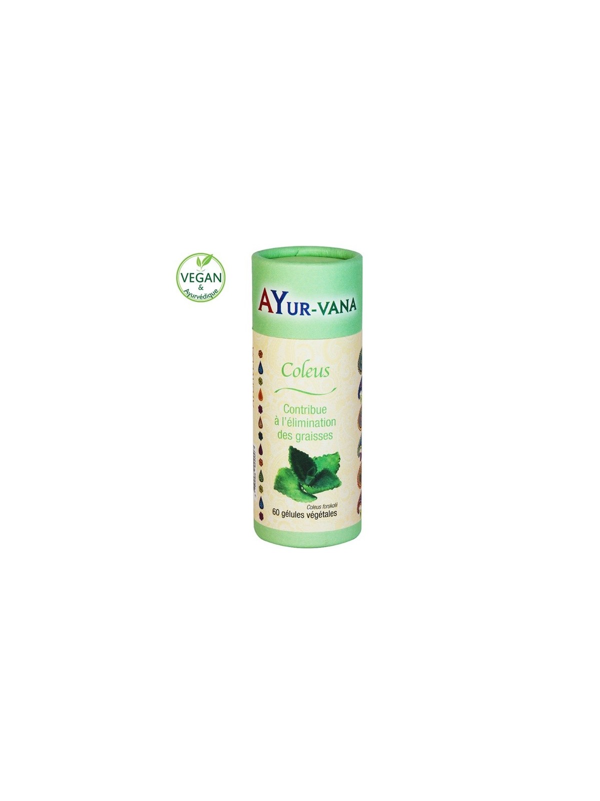 Coleus extrait titré à 10 % de Forskoline Bio (60 gélules) - AYur-vana
