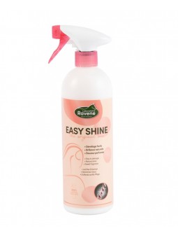 Easy Shine Lustrant Spray...
