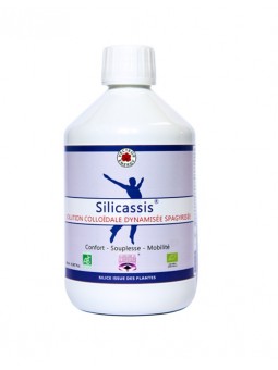 Silicassis Silicium Bio...