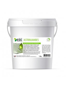 ASTRINJAMBES Argile cheval...