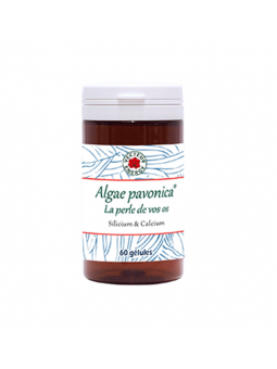 Algae Padina Pavonica (60...