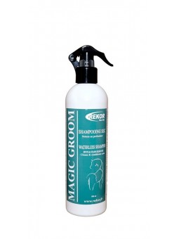 MAGIC GROOM Shampoing sec...
