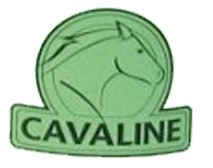 Cavaline